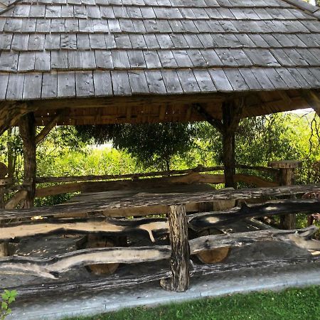 Zielona Dolina Villa Rutka-Tartak Екстериор снимка